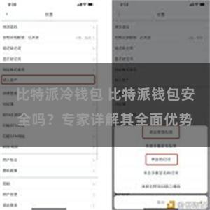 比特派冷钱包 比特派钱包安全吗？专家详解其全面优势