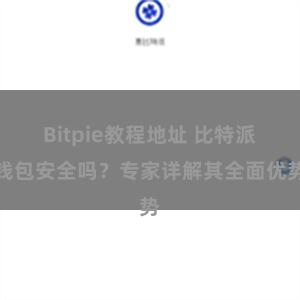 Bitpie教程地址 比特派钱包安全吗？专家详解其全面优势