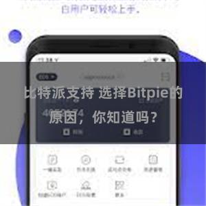 比特派支持 选择Bitpie的原因，你知道吗？