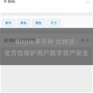 Bitpie多币种 比特派：全方位保护用户数字资产安全