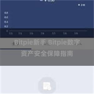 Bitpie新手 Bitpie数字资产安全保障指南