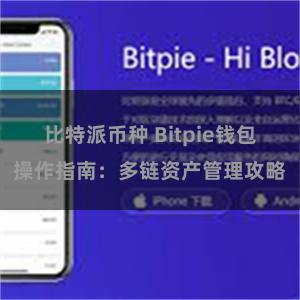 比特派币种 Bitpie钱包操作指南：多链资产管理攻略