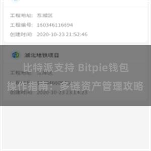 比特派支持 Bitpie钱包操作指南：多链资产管理攻略