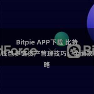 Bitpie APP下载 比特派钱包多链资产管理技巧：全面攻略