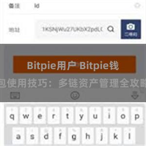 Bitpie用户 Bitpie钱包使用技巧：多链资产管理全攻略