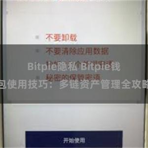 Bitpie隐私 Bitpie钱包使用技巧：多链资产管理全攻略