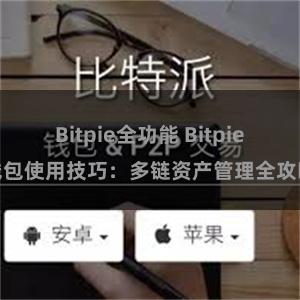 Bitpie全功能 Bitpie钱包使用技巧：多链资产管理全攻略