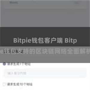 Bitpie钱包客户端 Bitpie钱包支持的区块链网络全面解析