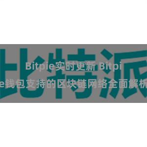 Bitpie实时更新 Bitpie钱包支持的区块链网络全面解析