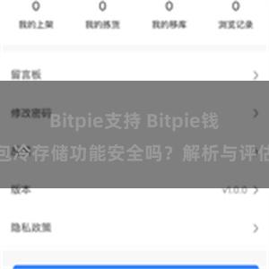 Bitpie支持 Bitpie钱包冷存储功能安全吗？解析与评估