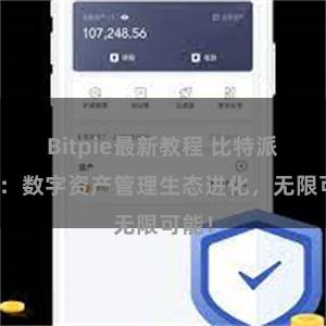 Bitpie最新教程 比特派钱包：数字资产管理生态进化，无限可能！