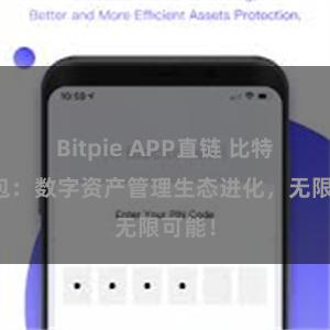 Bitpie APP直链 比特派钱包：数字资产管理生态进化，无限可能！