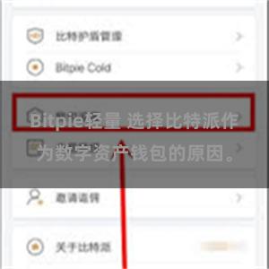 Bitpie轻量 选择比特派作为数字资产钱包的原因。