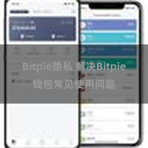 Bitpie隐私 解决Bitpie钱包常见使用问题