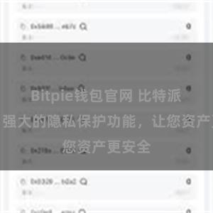 Bitpie钱包官网 比特派钱包：强大的隐私保护功能，让您资产更安全