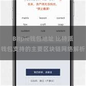 Bitpie钱包地址 比特派钱包支持的主要区块链网络解析