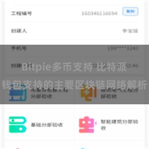 Bitpie多币支持 比特派钱包支持的主要区块链网络解析