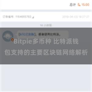 Bitpie多币种 比特派钱包支持的主要区块链网络解析