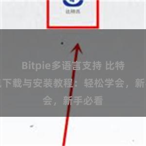 Bitpie多语言支持 比特派钱包下载与安装教程：轻松学会，新手必看