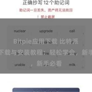 Bitpie应用下载 比特派钱包下载与安装教程：轻松学会，新手必看