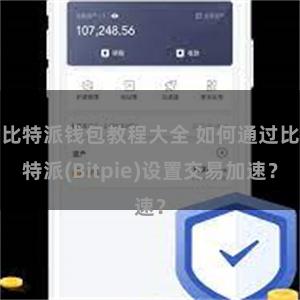 比特派钱包教程大全 如何通过比特派(Bitpie)设置交易加速？