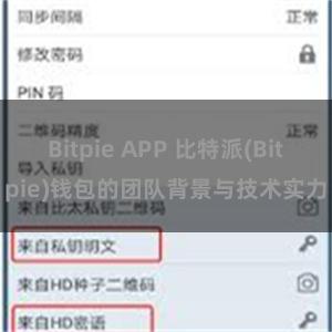 Bitpie APP 比特派(Bitpie)钱包的团队背景与技术实力