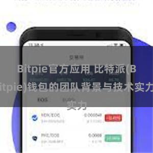 Bitpie官方应用 比特派(Bitpie)钱包的团队背景与技术实力