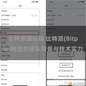 比特派国际版 比特派(Bitpie)钱包的团队背景与技术实力