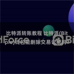 比特派转账教程 比特派(Bitpie)钱包能删除交易记录吗？