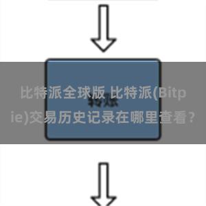 比特派全球版 比特派(Bitpie)交易历史记录在哪里查看？