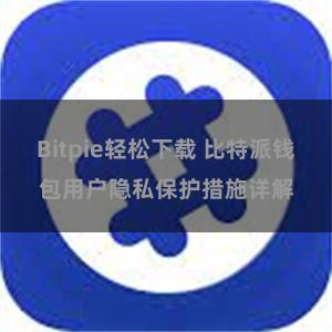 Bitpie轻松下载 比特派钱包用户隐私保护措施详解