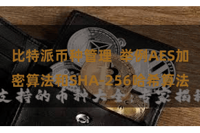 比特派币种管理  举例AES加密算法和SHA-256哈希算法