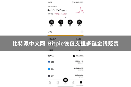比特派中文网  Bitpie钱包支捏多链金钱贬责