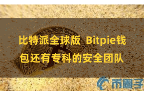 比特派全球版  Bitpie钱包还有专科的安全团队